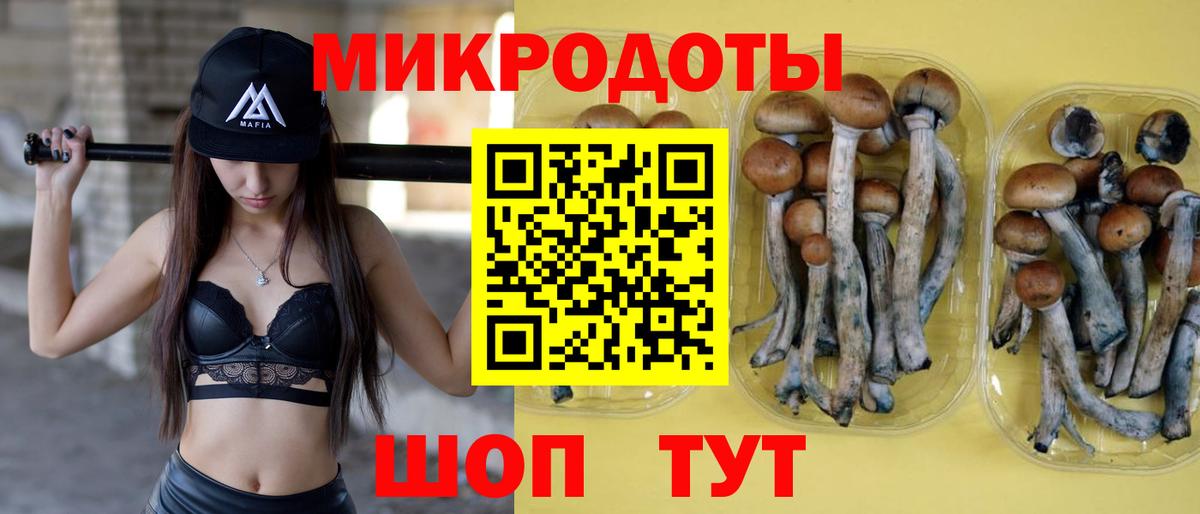 Урус-Мартан  Псилоцибиновые грибы MAGIC MUSHROOMS  Вход с VPN 